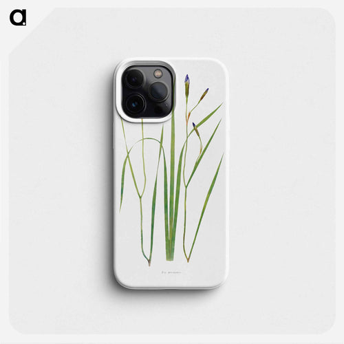 Iris Prismatica from The Genus Iris
 - アヤメ属 Phone Case.