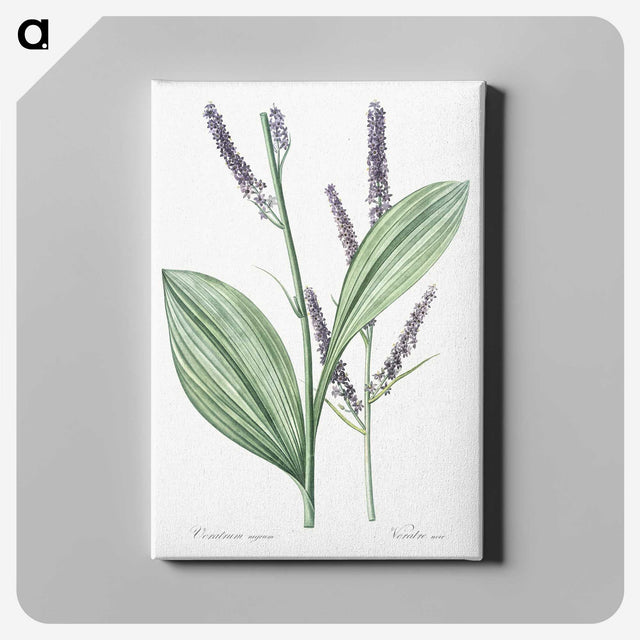 1-42_The-Lilies_canvas