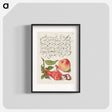 アートポスター-Pomegranate, Worm, and Peach
 - 書道のお手本 Poster.