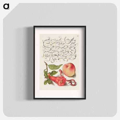 アートポスター-Pomegranate, Worm, and Peach
 - 書道のお手本 Poster.
