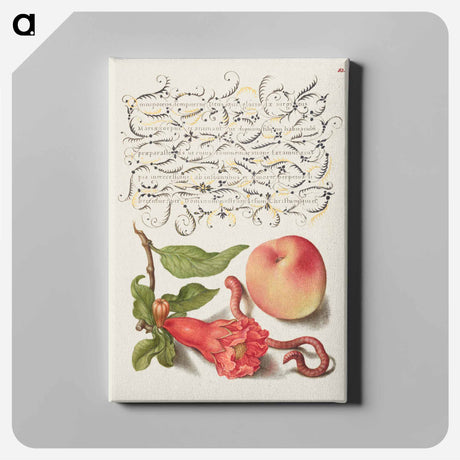 アートパネル-Pomegranate, Worm, and Peach
 - 書道のお手本 Canvas.