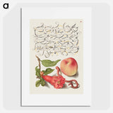 アートポスター-Pomegranate, Worm, and Peach
 - 書道のお手本 Poster.