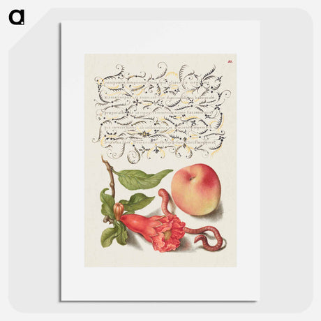 アートポスター-Pomegranate, Worm, and Peach
 - 書道のお手本 Poster.