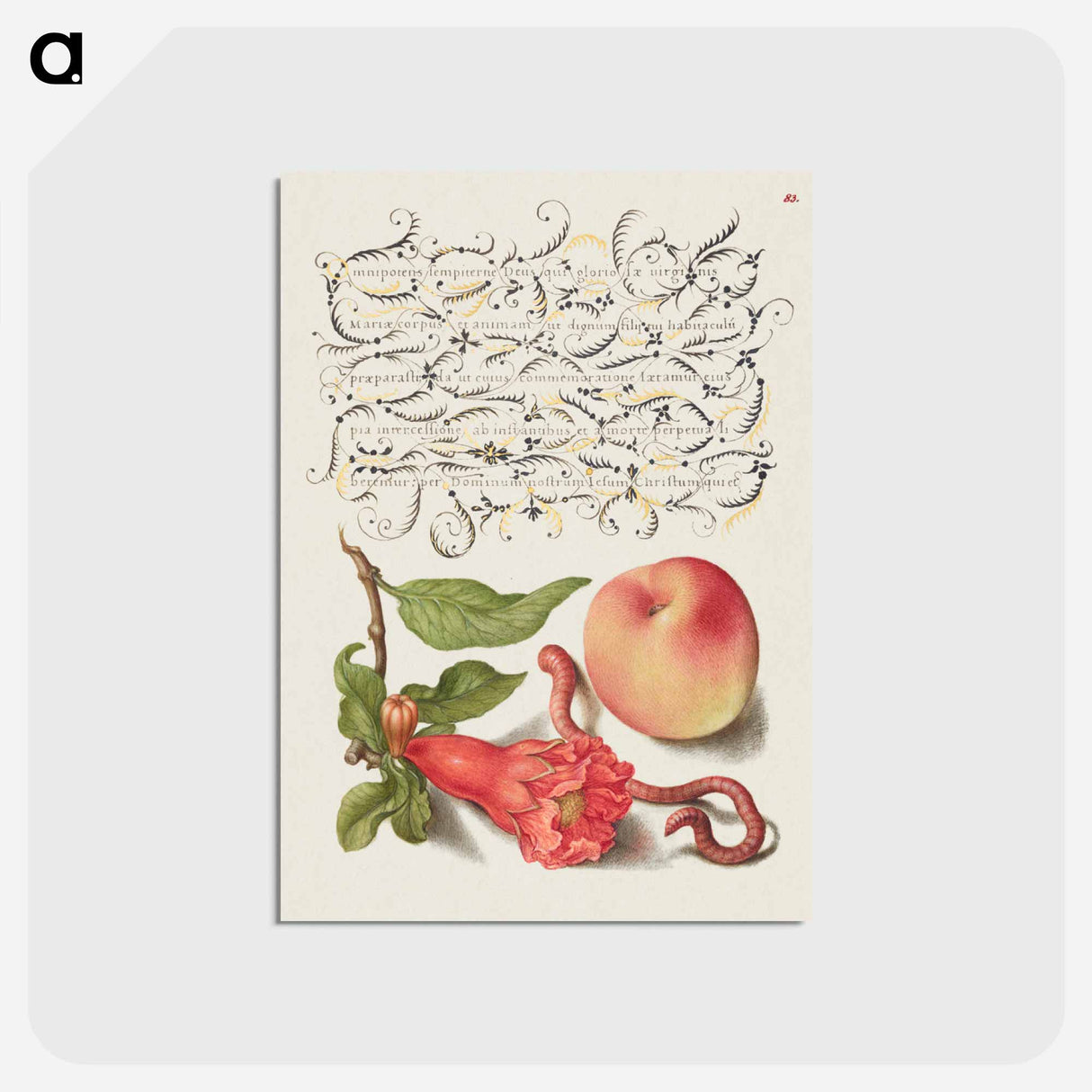 アートポストカード-Pomegranate, Worm, and Peach
 - 書道のお手本 Postcard.