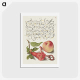 1-42_The-Model-Book-of-Calligraphy_hagaki