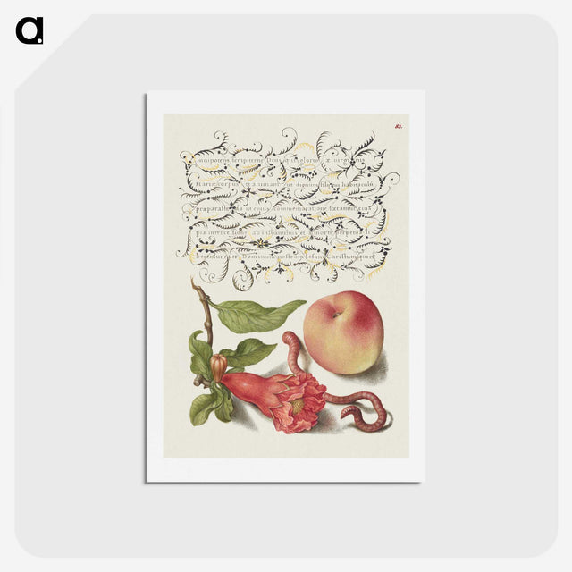 1-42_The-Model-Book-of-Calligraphy_hagaki