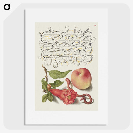 1-42_The-Model-Book-of-Calligraphy_picture