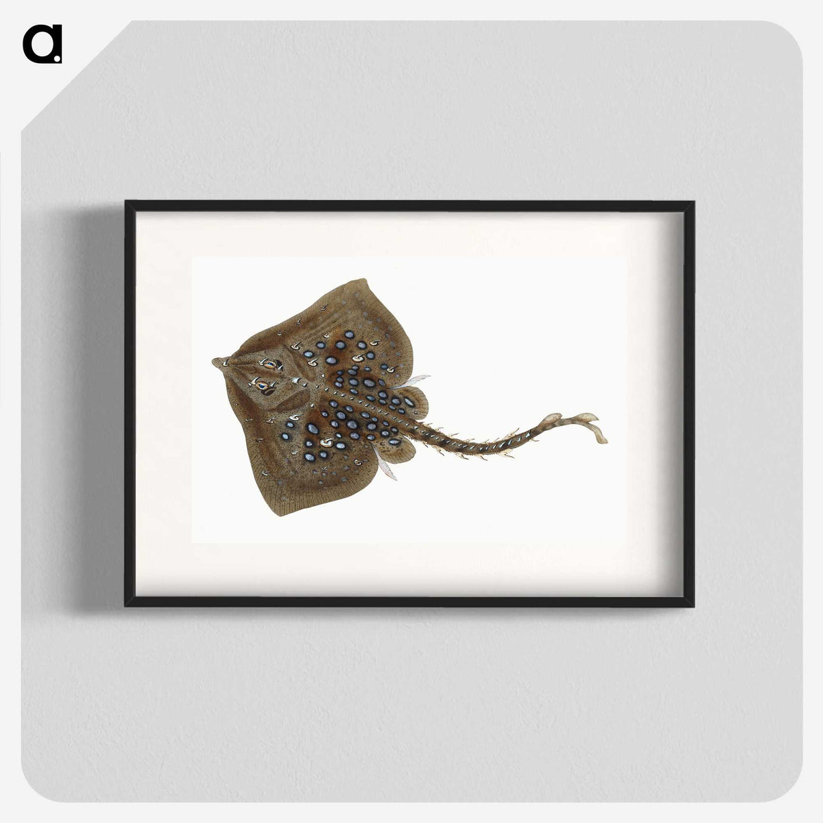 1-42_The-Natural-History-of-British-Fishes_blk