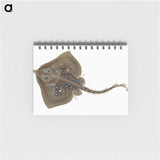 1-42_The-Natural-History-of-British-Fishes_memo