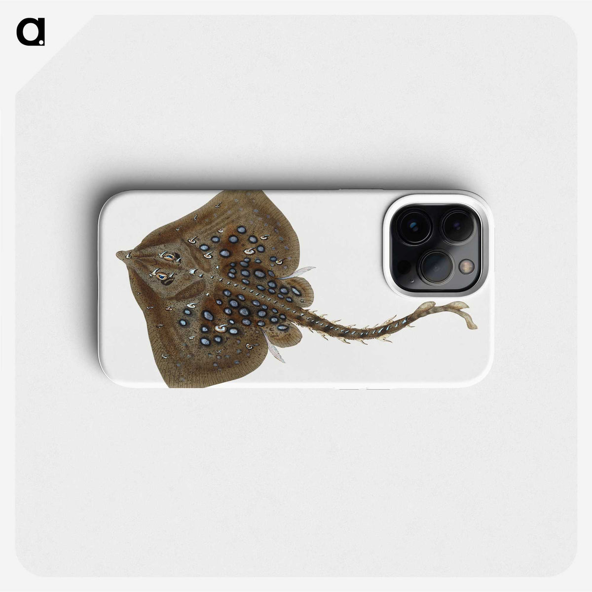 1-42_The-Natural-History-of-British-Fishes_phone