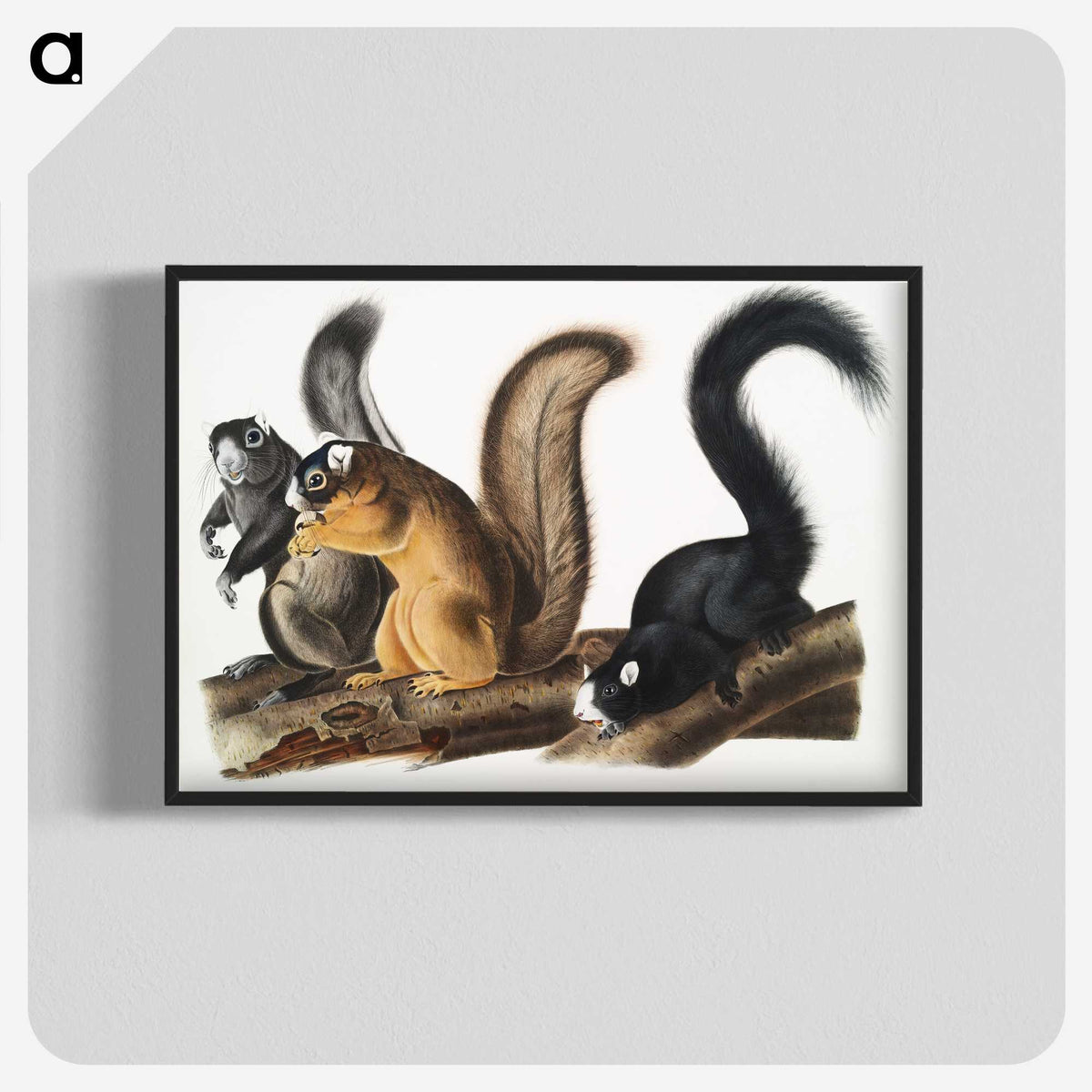 1-42_The-Viviparous-Quadrupeds_blk-crop