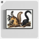1-42_The-Viviparous-Quadrupeds_blk-crop