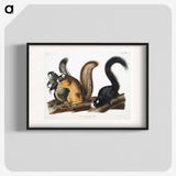 1-42_The-Viviparous-Quadrupeds_blk