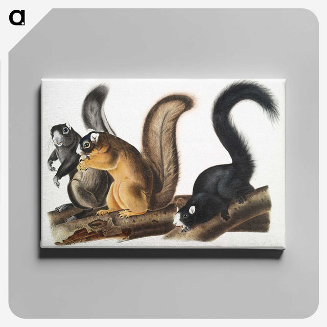 1-42_The-Viviparous-Quadrupeds_canvas