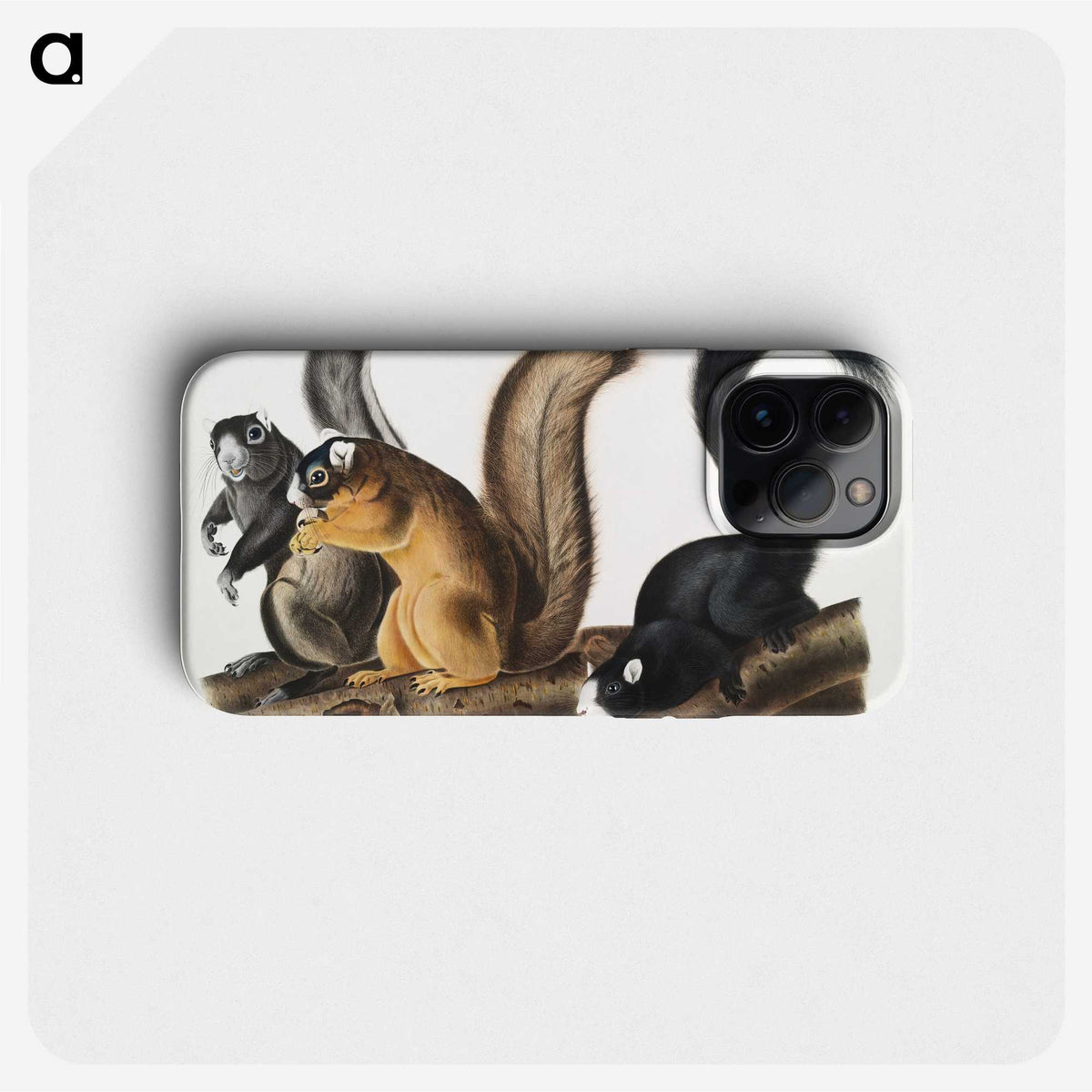 1-42_The-Viviparous-Quadrupeds_phone