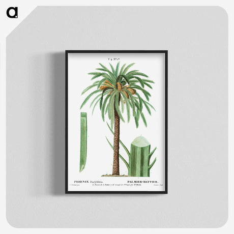 1-42_Treatise-on-Trees-and-Shrubs_blk-crop
