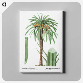 1-42_Treatise-on-Trees-and-Shrubs_canvas