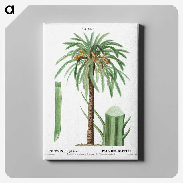 1-42_Treatise-on-Trees-and-Shrubs_canvas