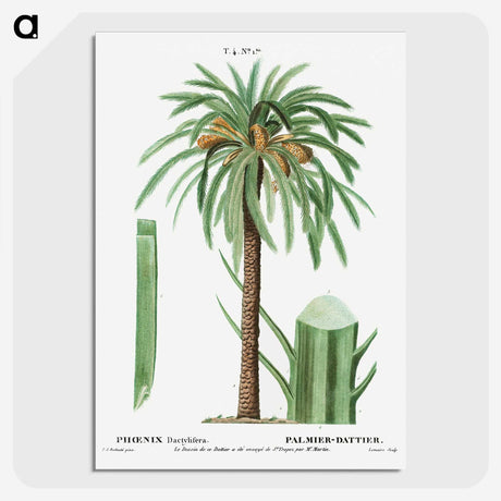 1-42_Treatise-on-Trees-and-Shrubs_picture-crop