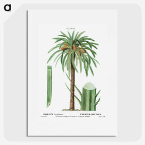 1-42_Treatise-on-Trees-and-Shrubs_picture