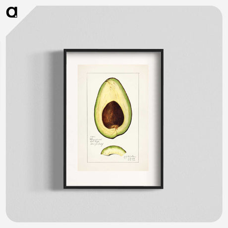 1-42_USDA-Watercolor-Fruit-Painting-Collection_blk