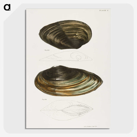 1-42_Zoology-of-New-York_picture-crop