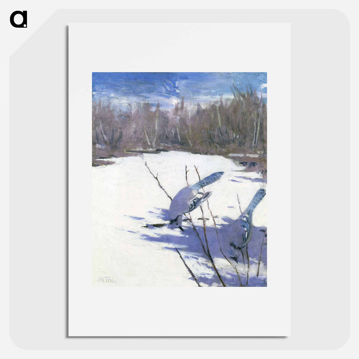 Blue Jays in Winter - アボット ハンダーソン セイヤー Poster.
