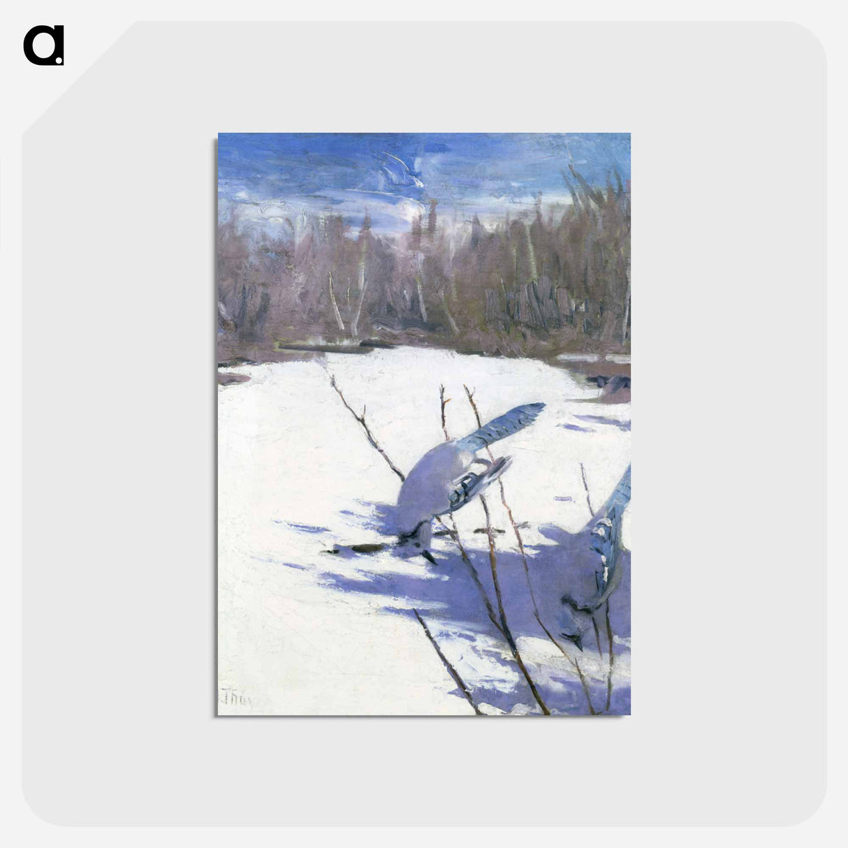 アートポストカード-Blue Jays in Winter - アボット ハンダーソン セイヤー Postcard.