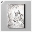 1-43_Aert-Schouman_canvas