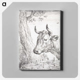 1-43_Aert-Schouman_canvas