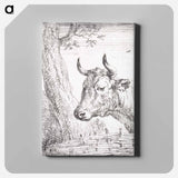 Head of a cow - アールト シューマン Canvas.