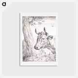 Head of a cow - アールト シューマン Postcard.