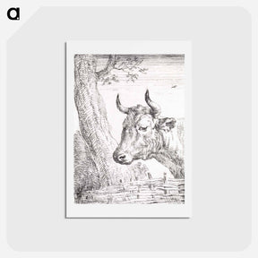 アートポストカード-Head of a cow - アールト シューマン Postcard.