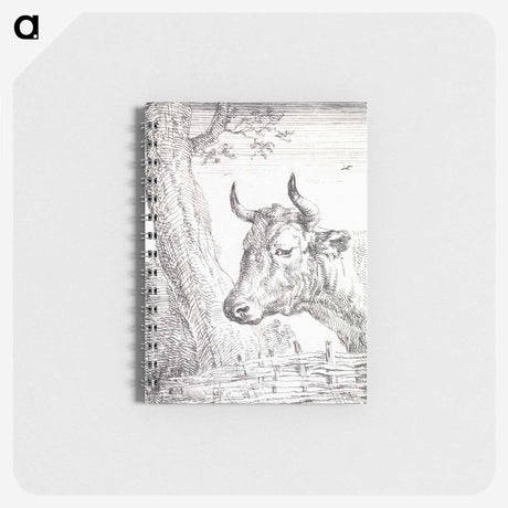 1-43_Aert-Schouman_memo