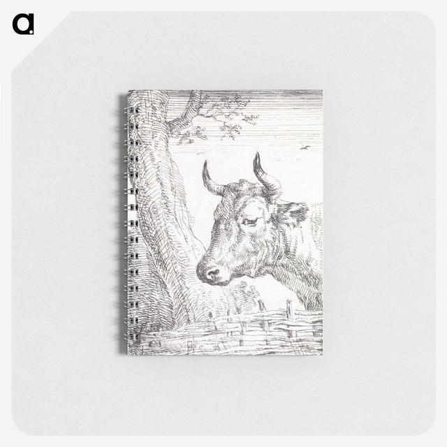 1-43_Aert-Schouman_memo