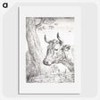 1-43_Aert-Schouman_picture