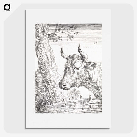 1-43_Aert-Schouman_picture