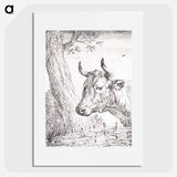 Head of a cow - アールト シューマン Poster.