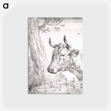 Head of a cow - アールト シューマン Postcard.