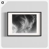 1-43_Alfred-Stieglitz_blk
