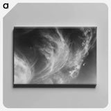 Equivalent - アルフレッド スティーグリッツ Canvas.