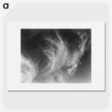 1-43_Alfred-Stieglitz_picture