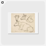 1-43_Alfred-William-Finch_hagaki