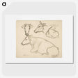 1-43_Alfred-William-Finch_picture