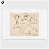 1-43_Alfred-William-Finch_picture
