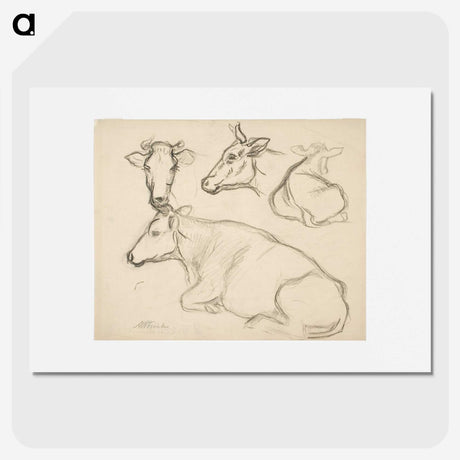 1-43_Alfred-William-Finch_picture