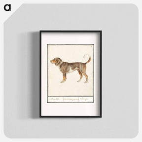 アートポスター-Beagle or Braque - アンセルムス ボエティウス デ ブート Poster.