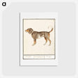 アートポストカード-Beagle or Braque - アンセルムス ボエティウス デ ブート Postcard.
