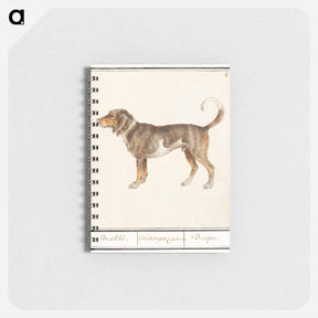 アートメモ帳-Beagle or Braque - アンセルムス ボエティウス デ ブート Memo.