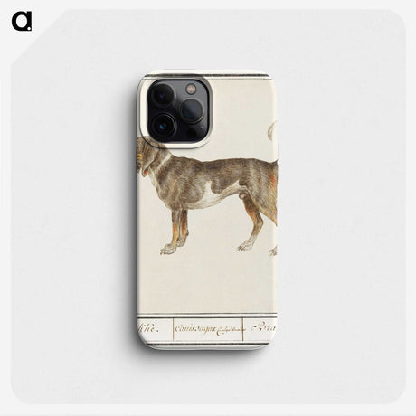 1-43_Anselmus-Boetius-de-Boodt_phone